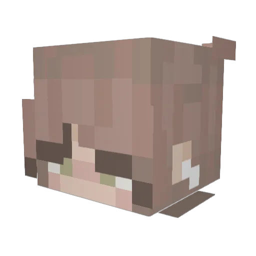 Highlandyal12 Minecraft avatar head, 3D render