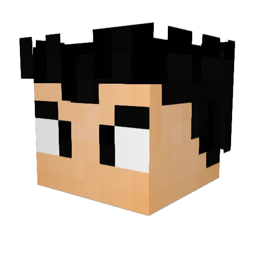 Highox_7 Minecraft avatar head, 3D render