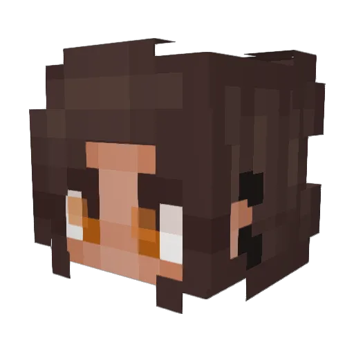 Highway_Bulls Minecraft avatar head, 3D render