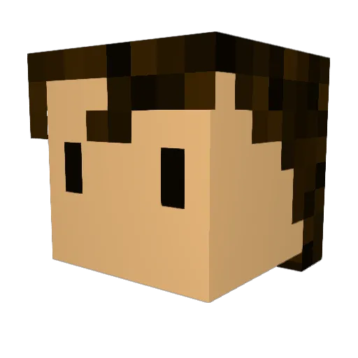 Higuyflys123456 Minecraft avatar head, 3D render