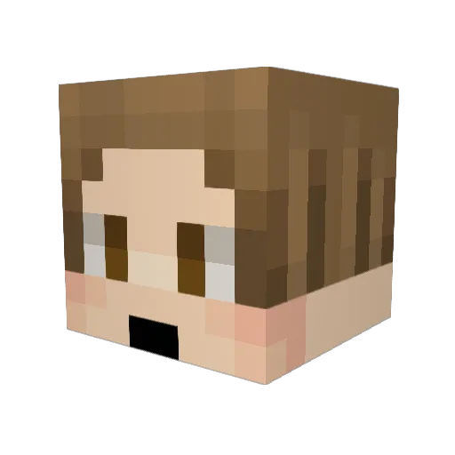 Hihams Minecraft avatar head, 3D render