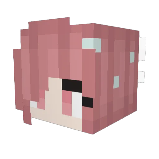 HiiTri Minecraft avatar head, 3D render