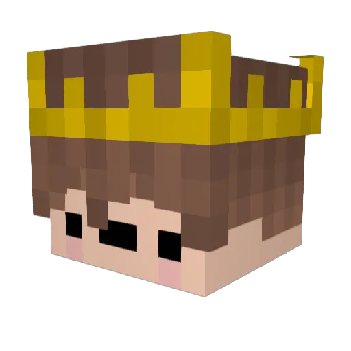Hiibaer Minecraft avatar head, 3D render