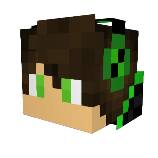 Hiiwin3 Minecraft avatar head, 3D render