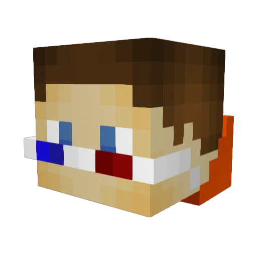 Hijacker_ Minecraft avatar head, 3D render