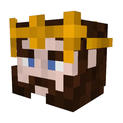 Hikal125 Minecraft avatar head, 3D render