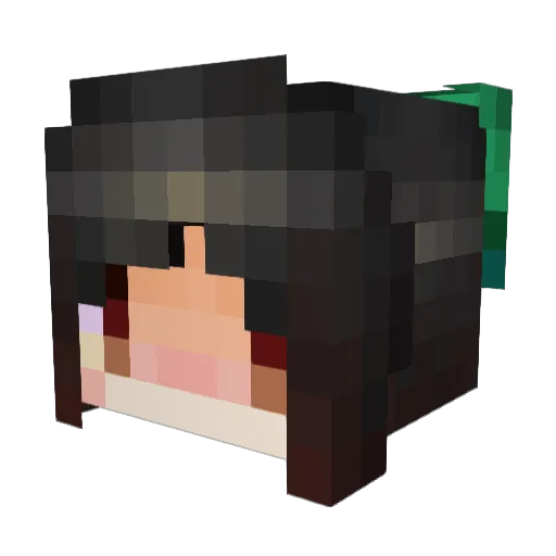 Hikari92 Minecraft avatar head, 3D render