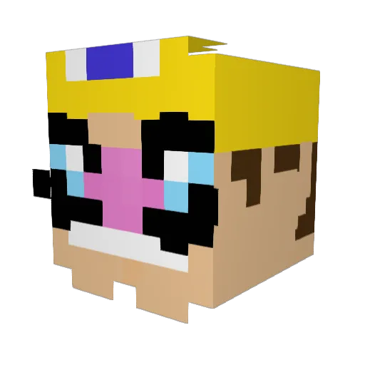 HikariNY Minecraft avatar head, 3D render