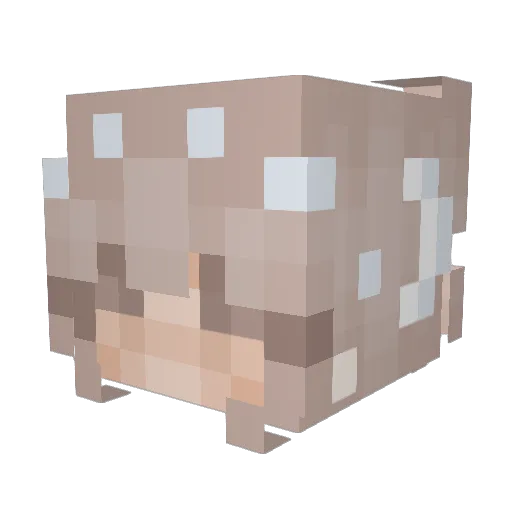 HikariXYami Minecraft avatar head, 3D render