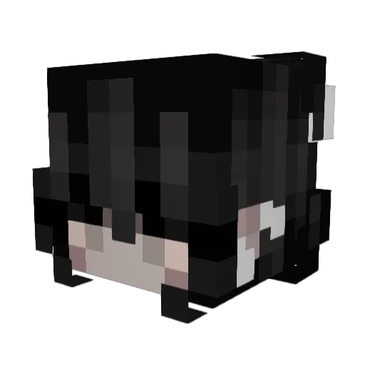 Hikari_Asami Minecraft avatar head, 3D render