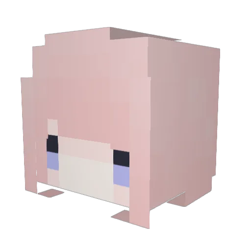 Hikari_Uki Minecraft avatar head, 3D render