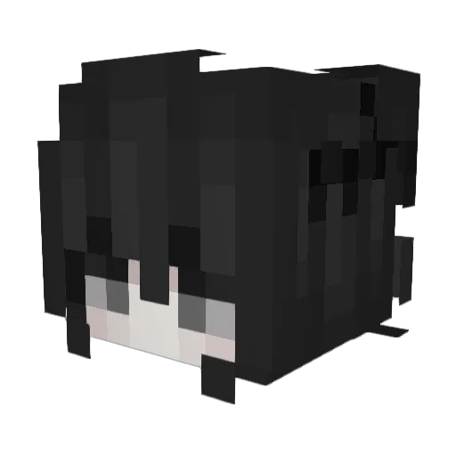 Hikari_wy Minecraft avatar head, 3D render