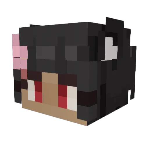 Hikaririn_ Minecraft avatar head, 3D render