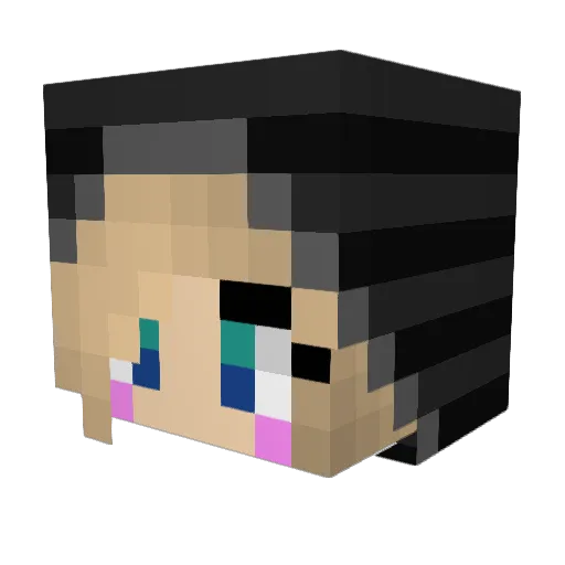 Hikotake Minecraft avatar head, 3D render