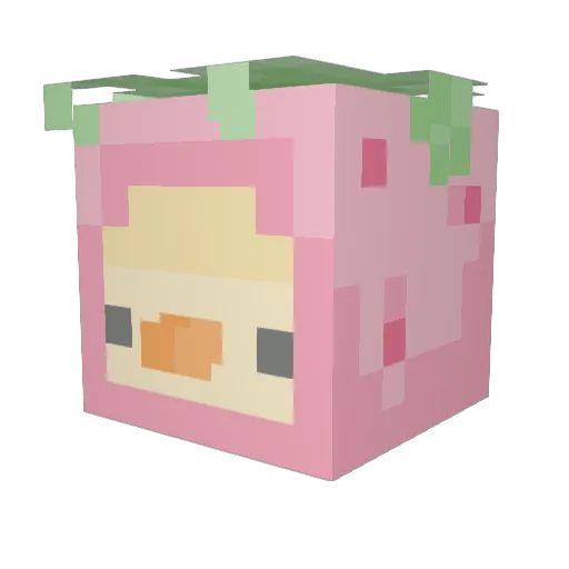 HikouCS Minecraft avatar head, 3D render
