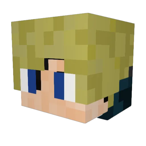 Hilbe Minecraft avatar head, 3D render
