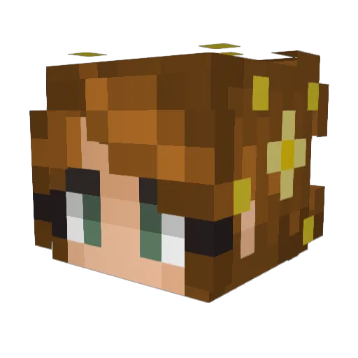 Hilda200 Minecraft avatar head, 3D render