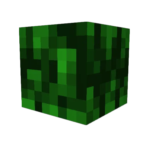 Hillahai Minecraft avatar head, 3D render