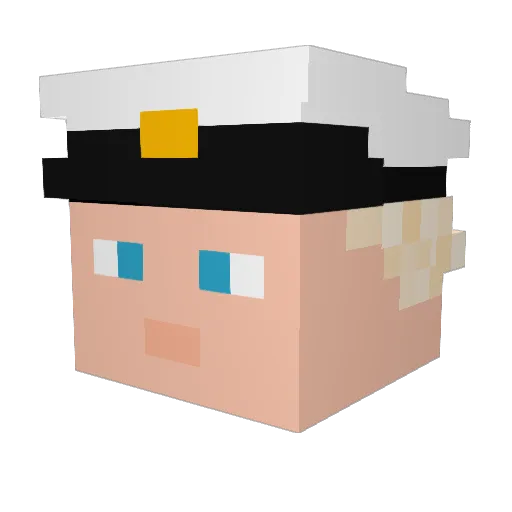 Hillbrook9 Minecraft avatar head, 3D render