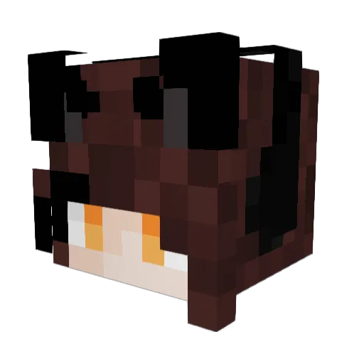 Minecraft-Avatar von Hillfillk: Kopf als 3D-Render