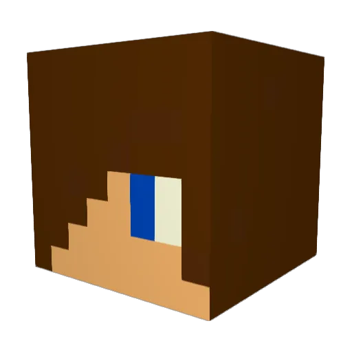 Hillsters Minecraft avatar head, 3D render