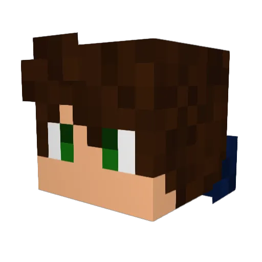 Hilly1000 Minecraft avatar head, 3D render