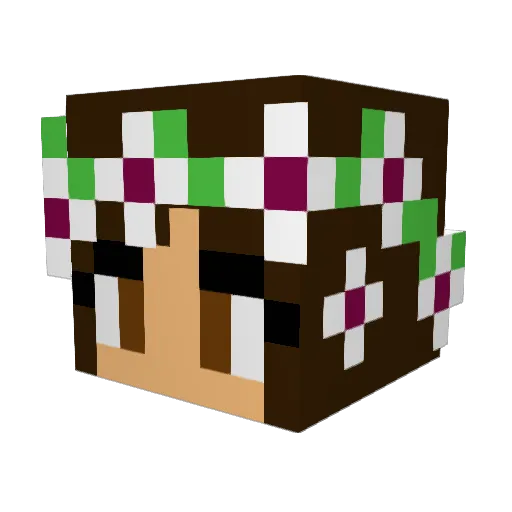 Hillyc123 Minecraft avatar head, 3D render