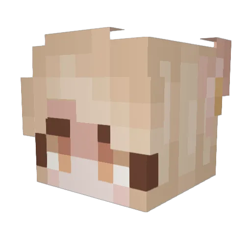 Hilm3x Minecraft avatar head, 3D render