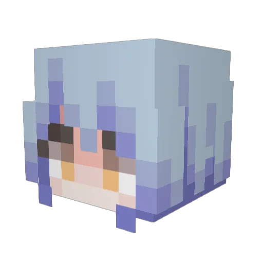 Hilton1028 Minecraft avatar head, 3D render