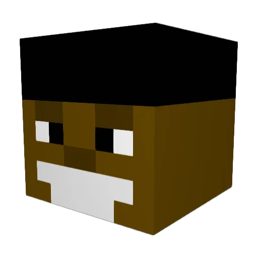Hiltonz Minecraft avatar head, 3D render