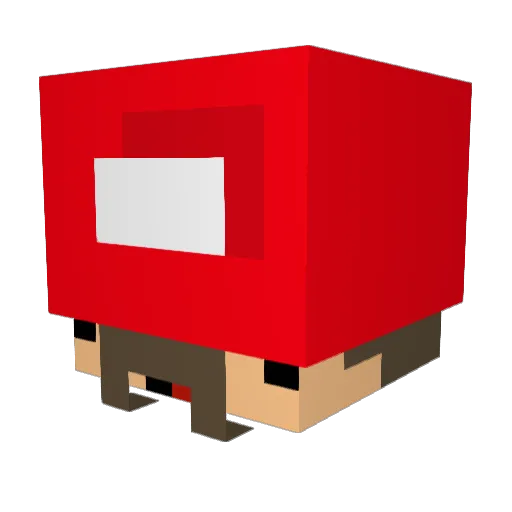 Him2060 Minecraft avatar head, 3D render
