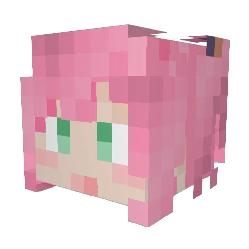 HimawariDD Minecraft avatar head, 3D render