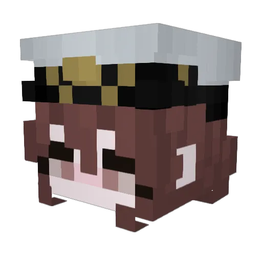 Hime89 Minecraft avatar head, 3D render
