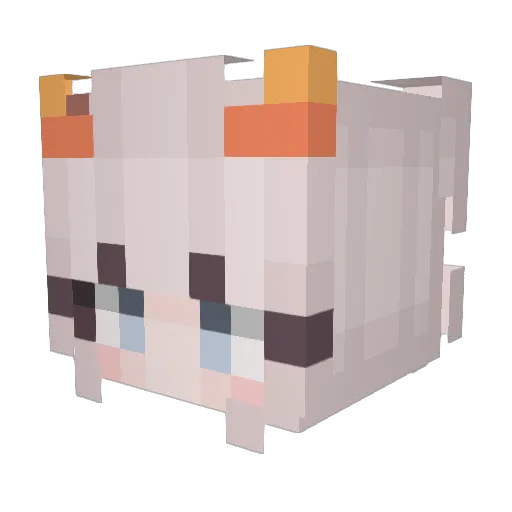 HimeJu Minecraft avatar head, 3D render