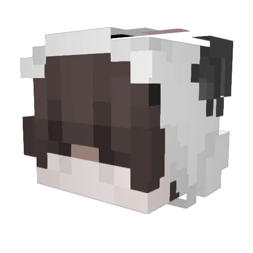 HimeMeru Minecraft avatar head, 3D render