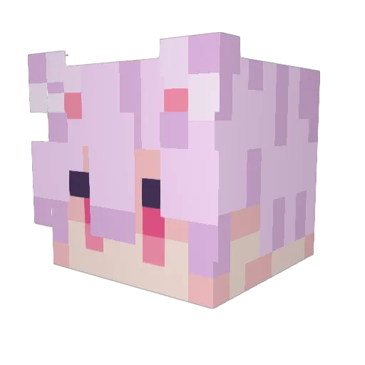 HimeRui Minecraft avatar head, 3D render