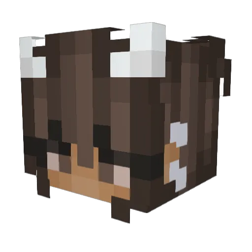 Himmel00 Minecraft avatar head, 3D render