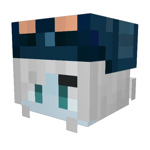 Himoru Minecraft avatar head, 3D render
