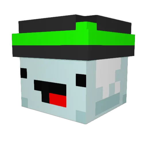 Hin_snow Minecraft avatar head, 3D render