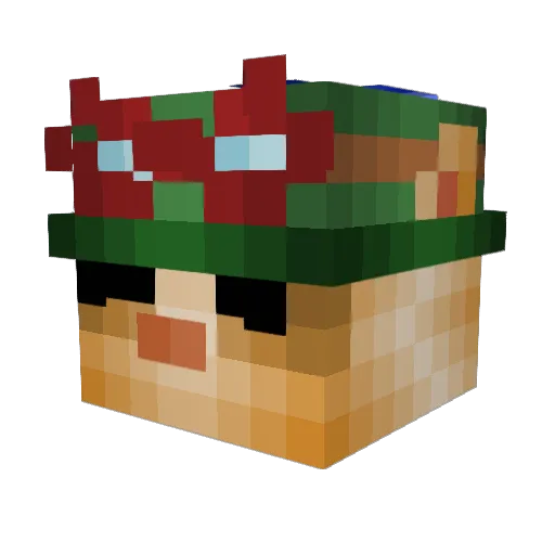 Hinarion Minecraft avatar head, 3D render