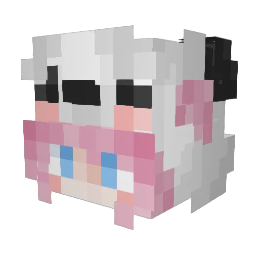 HindbaerAebelskr Minecraft avatar head, 3D render