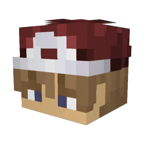 HindenburgD Minecraft avatar head, 3D render