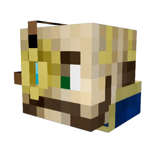 Hinder_863 Minecraft avatar head, 3D render
