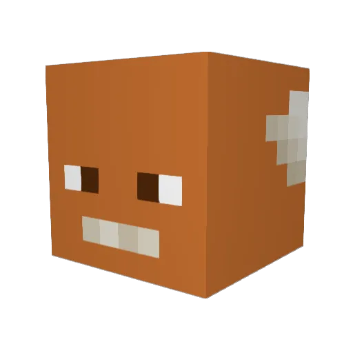 HinduSayso Minecraft avatar head, 3D render