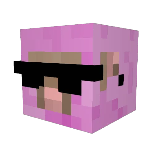 HineStar Minecraft avatar head, 3D render