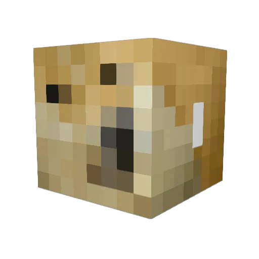 HingoBungo Minecraft avatar head, 3D render