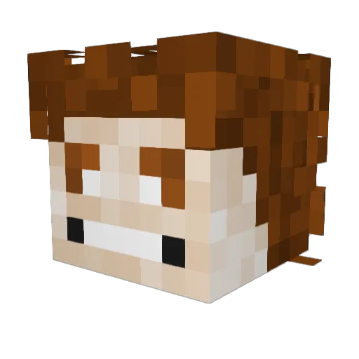 Hinkipinki06 Minecraft avatar head, 3D render