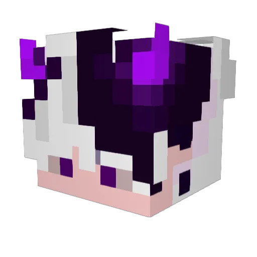 Minecraft-Avatar von Hinmun: Kopf als 3D-Render