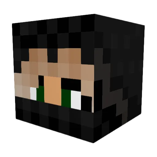 Hinnii Minecraft avatar head, 3D render