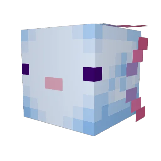 Hinnumagh Minecraft avatar head, 3D render